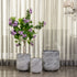 Curved Foliage Indoor Planters For Home - Set of 3