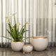 Gilded Haven Indoor Planters For Home - Set of 3