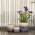 Shaded Horizon Indoor Planters For Home - Set of 3