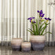 Shaded Horizon Indoor Planters For Home - Set of 3