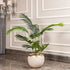 Evergreen Oasis Areca Palm Artificial Flower Plant For Home (4 Feet)