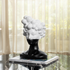 The Sphere of Imagination Decorative showpiece - White Top