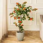 Sunfire Hibiscus Elegance Artificial plant - (4 Feet) (Natural Feel)