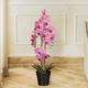 Radiant Orchid Artificial plant - (2.5 Feet) (Natural Feel)
