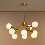 Graceful Dream Chandelier Light For Living Room & Item for Home Decoration