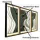 Dynamic Abstract Illusion Wall Decoration Shadow Box - Set of 3