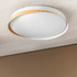 Nordic Ring Ceiling Light For Home & Home Decoration Item