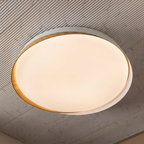 Nordic Ring Ceiling Light For Home & Home Decoration Item