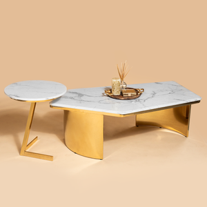 Opulent Orbit Centre Table for Living Room - Set of 2 (Stainless Steel)