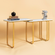 Enchanted Oasis Centre Table For Living Room -  Gold (Stainless Steel)