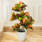 Evergreen Delight Croton Artificial Plant (3.3 Feet) (Natural Feel)