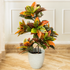 Evergreen Delight Croton Artificial Plant (3.3 Feet)