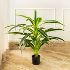 Botanic Beauty Dracaena Lemon Lime Artificial Plant (3.5 Feet) (Natural Feel)