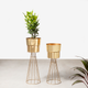 Avant-Garden Planters Set of 2 - Gold