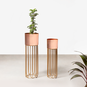 Artisan Arboretum Planters Set of 2 - Rose Gold