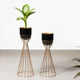 Artful Foliage Planters Set of 2 - Black