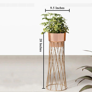 Zen Botanics Planters - Small - Rose Gold