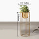 Botanic Couture Planters - Small - Gold