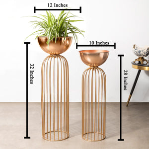 Urban Zen Planter ( Gold Stand & Ross Gold Pot ) - Pair