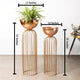 Urban Zen Planter ( Gold Stand & Ross Gold Pot ) - Pair