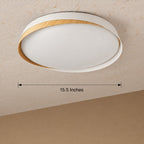 Nordic Ring Ceiling Light For Home & Home Decoration Item
