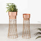 Zen Botanics Planters Set of 2 - Rose Gold