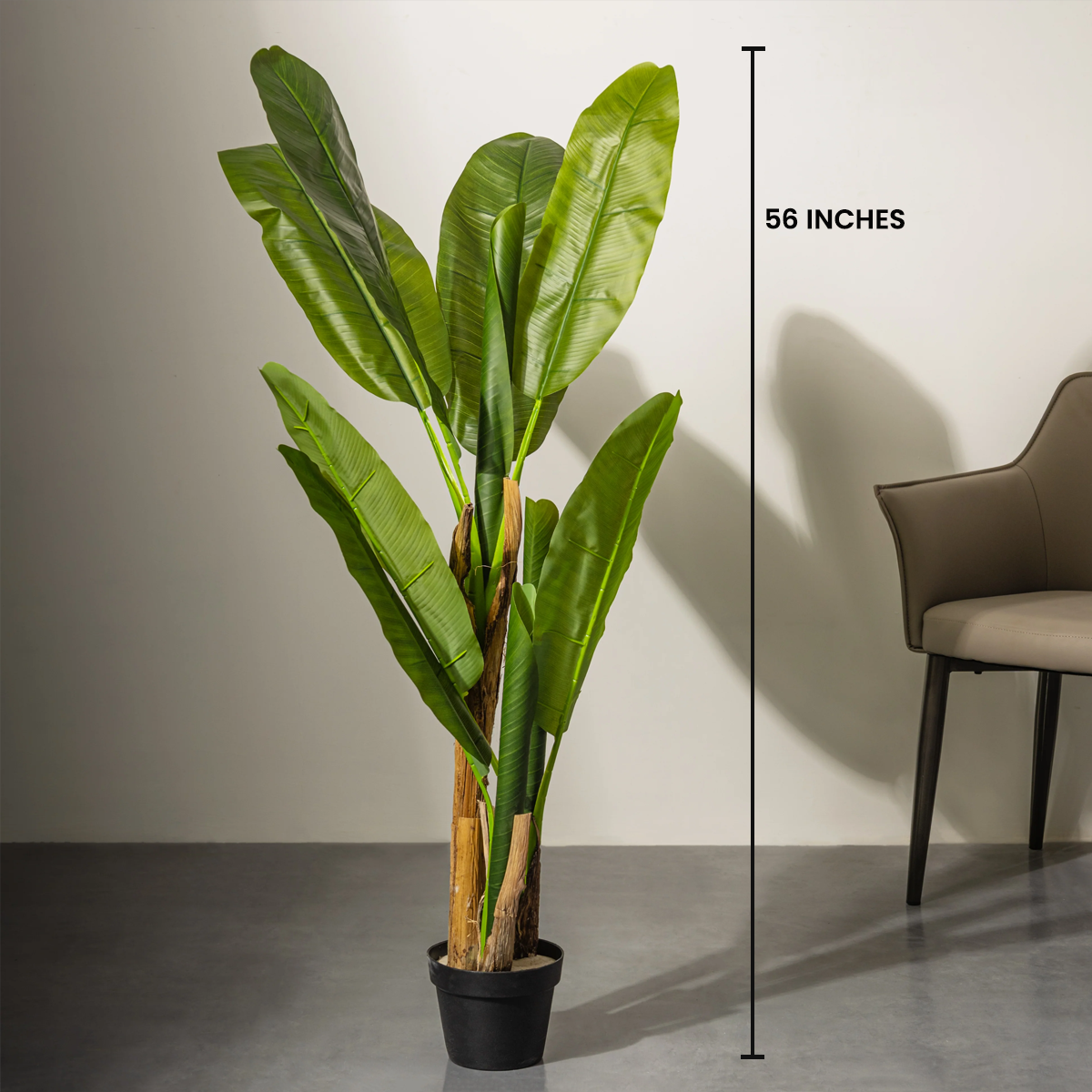plastic banana plant Banana Bliss Grove
