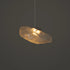 Floating Ember Ceiling Light for Home & Item for Home Decoration