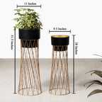 Zen Botanics Planters Set of 2 - Black