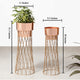 Zen Botanics Planters Set of 2 - Rose Gold