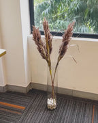 Soft Feather Pampas Grass Artificial Stem (Single Stem Only)