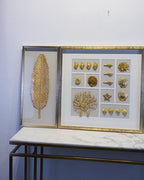 A Sea of Illusions & Golden Feather Shadow Box Set of 3