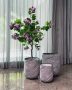 Curved Foliage Indoor Planters For Home - Big