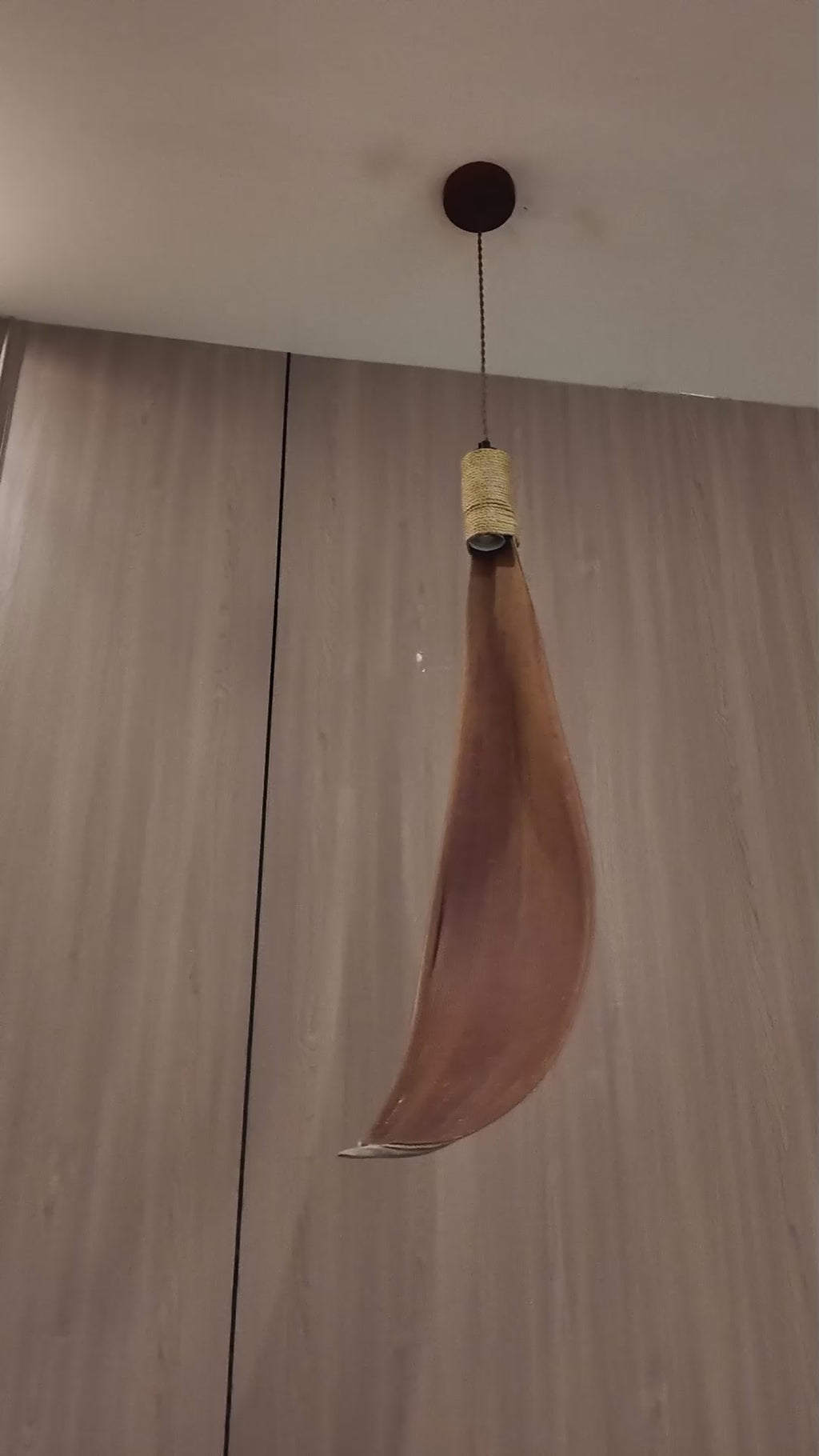 Floating Leaf Hanging light for Home & Item for Home Decoration