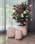 Moonscape Elegance Indoor Planters For Home - Set of 2
