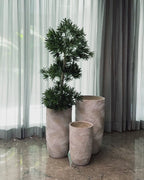 Leaf Tropicana Indoor Planters For Home - Set of 2