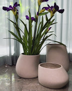Flowing Form Indoor Planters For Home - Set of 3