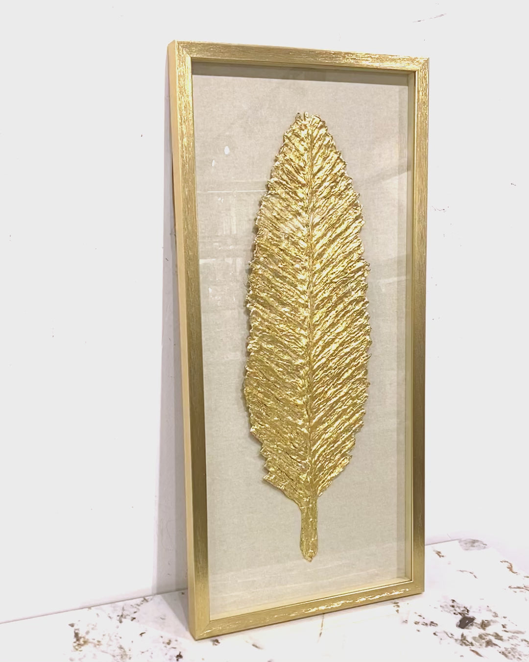 The Golden Feather Shadow Box Wall Decoration Piece - Pair