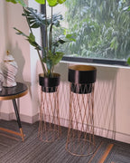 Zen Botanics Planters Set of 2 - Black