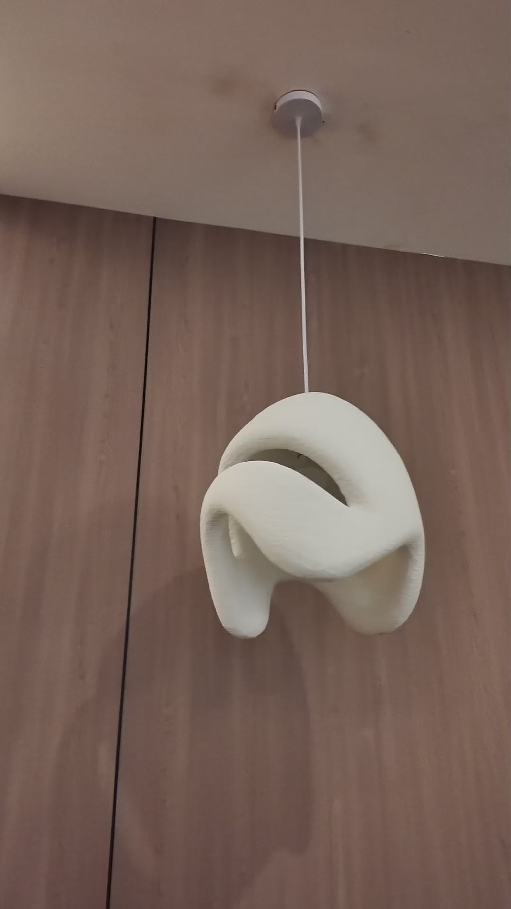 Lunar Bloom Pendant Light For Home & Item for Home Decoration