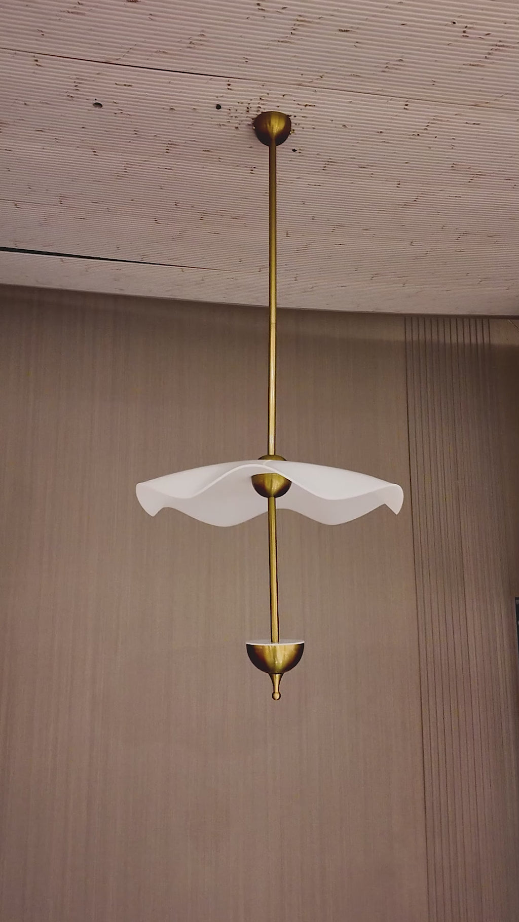 Elowa Ceiling Light For Home & Home Decoration Item (Italian Designer Collection)