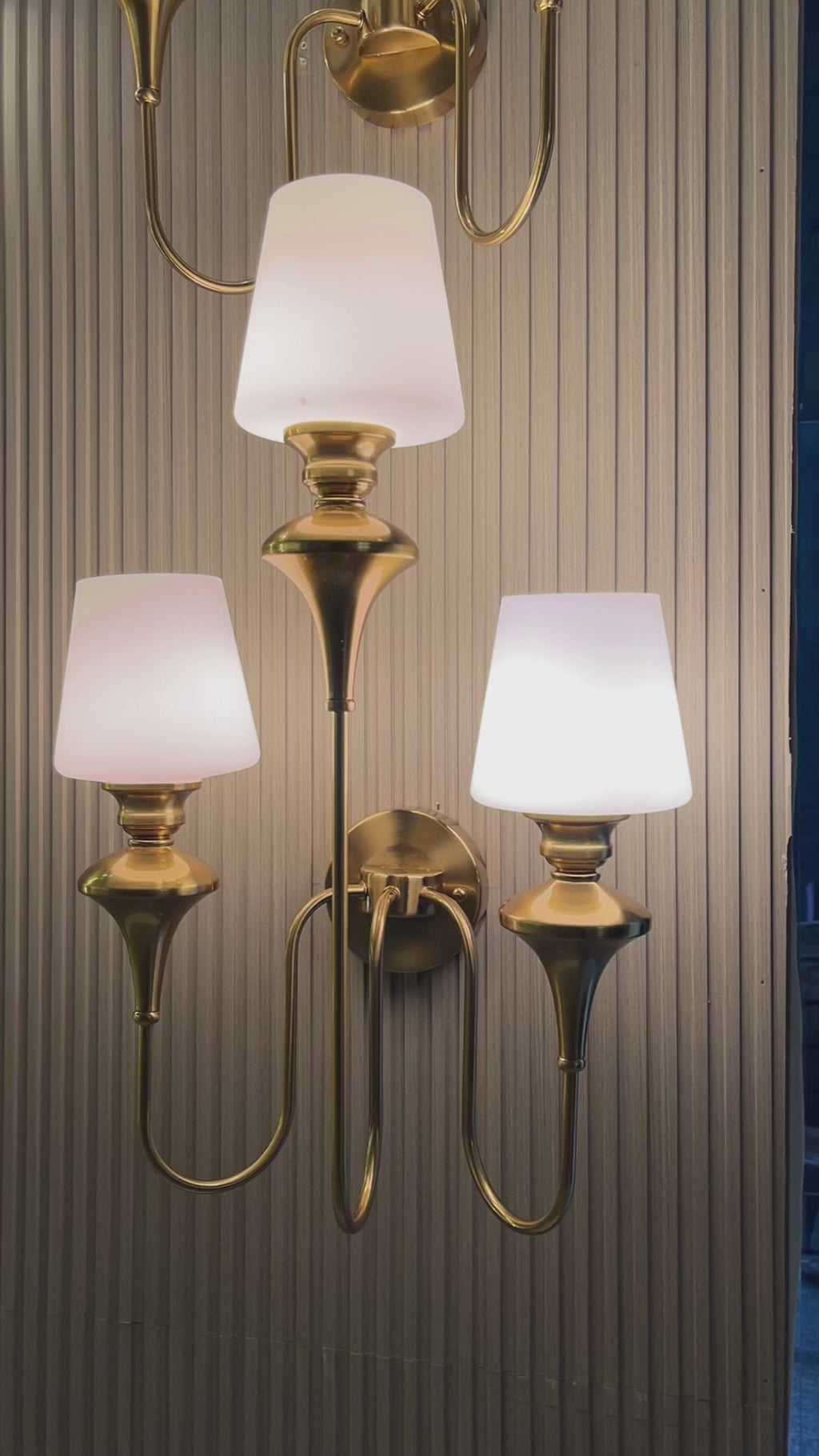 Elysian Curve Wall Lamps  for Living Room - Triple Sconce