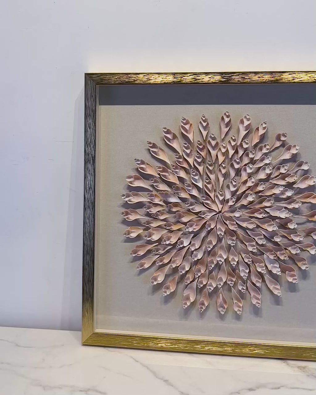 The Sea shell Symphony Shadow Box for Wall Decoration