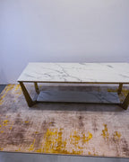 Marquis Mode  Double Decker Coffee Table (Stainless Steel)