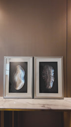 Harmony of Shadow Box for Wall Decoration - Set of 3