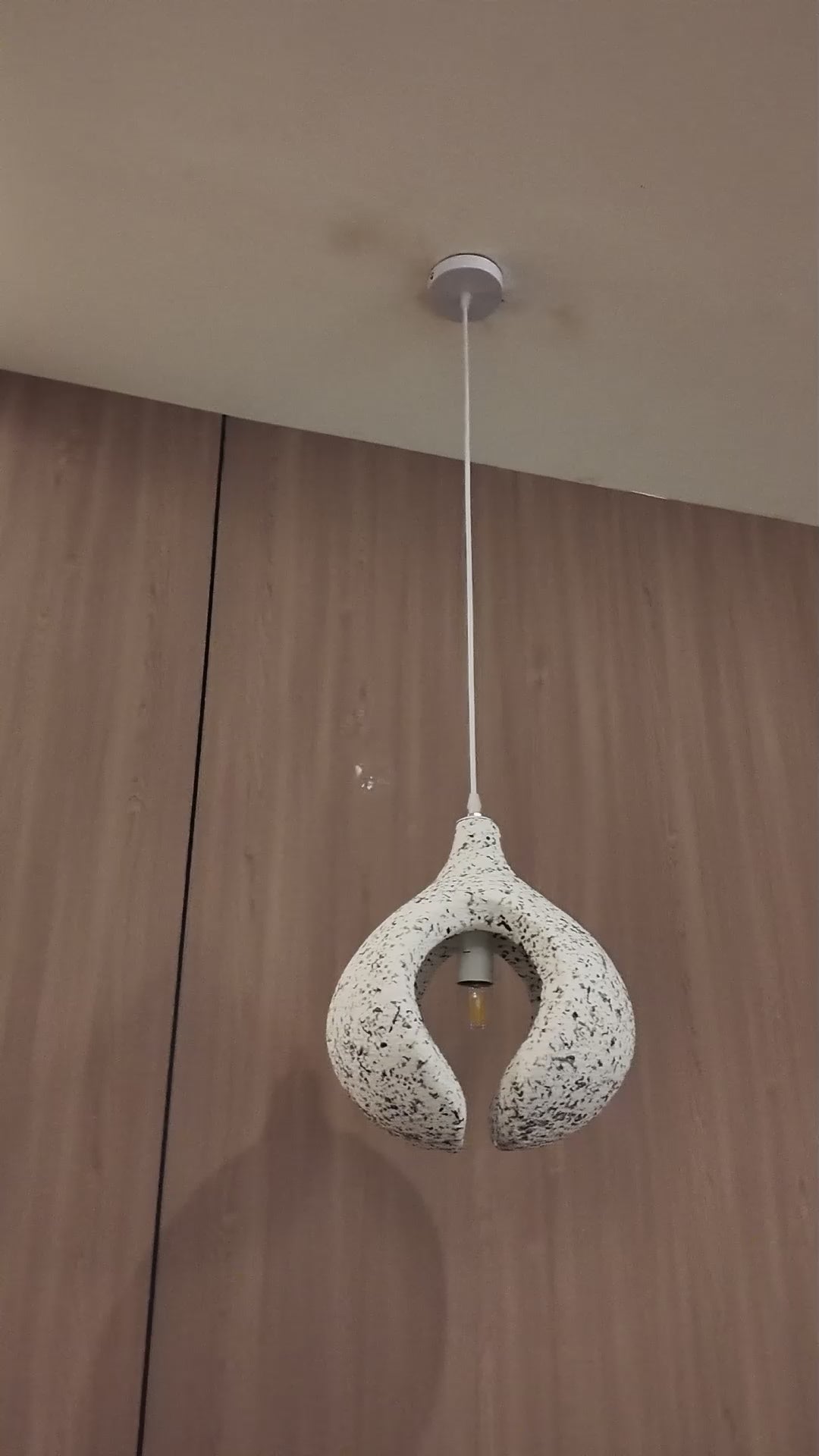 Luminous Bloom Ceiling Light For Home & Item for Home Decoration
