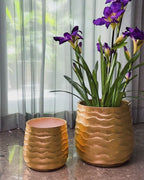 Luxe Wave Planter - Set Of 2