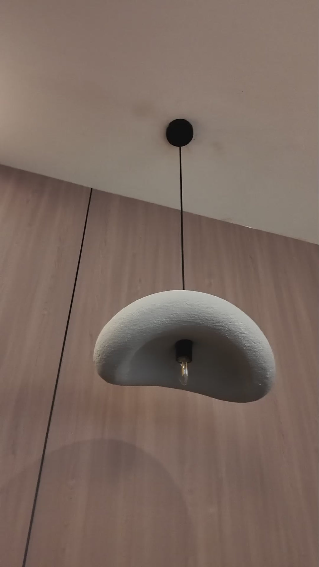 Aurora Curve Hanging Light For Home & Item for Home Decoration