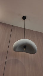 Aurora Curve Hanging Light For Home & Item for Home Decoration