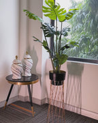Zen Botanics Planters - Big - Black